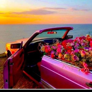 Meet your Posher, La belle